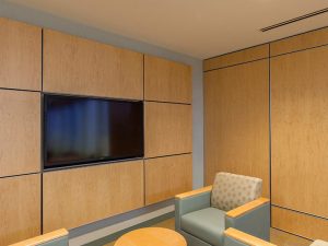 Bamboo and Wood Fiber Decorative Surface – Customizable Paint Finish